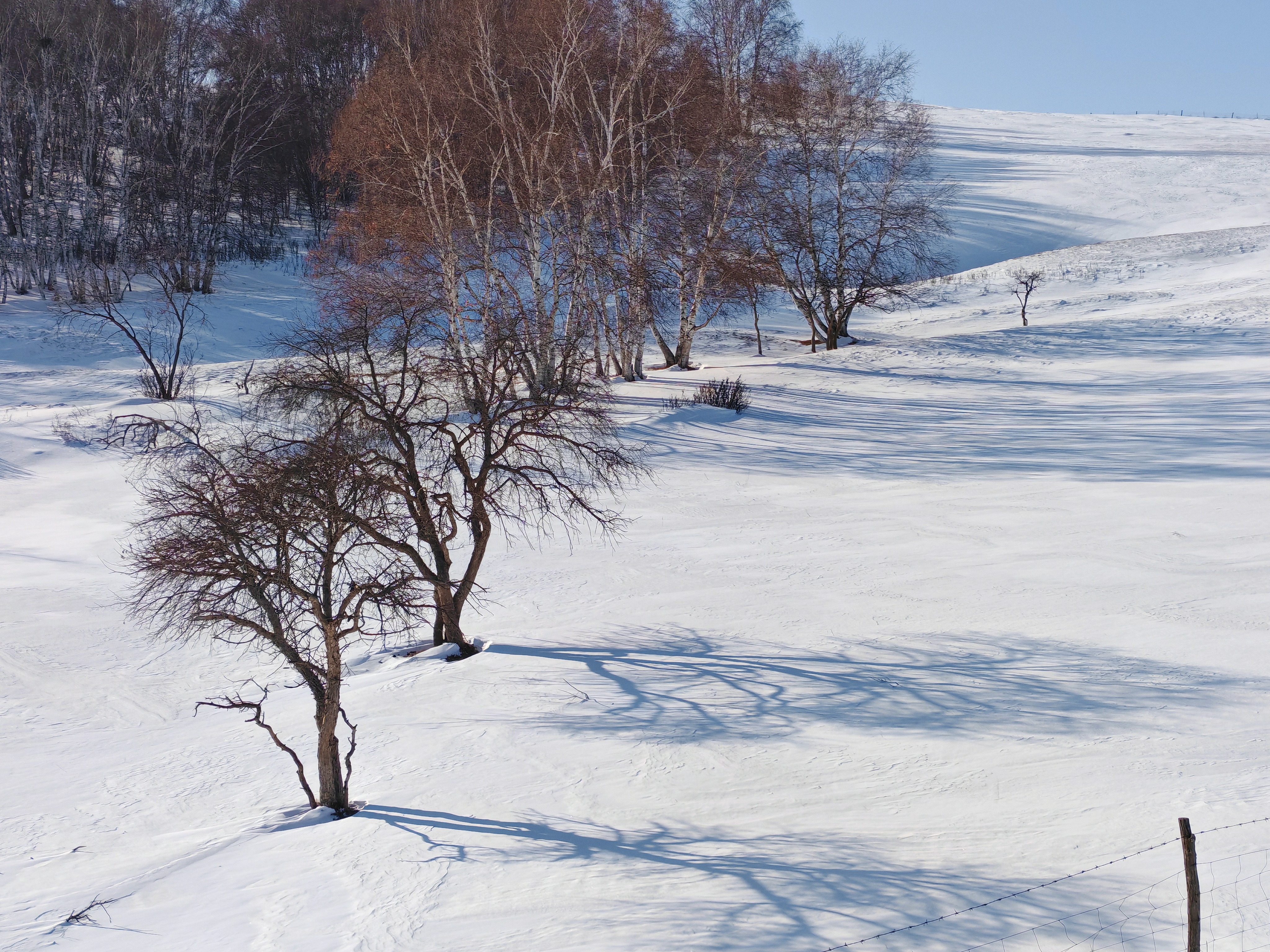 不止哈爾濱有冰雪 沃爾沃XC60 T8烏蘭布統(tǒng)之行