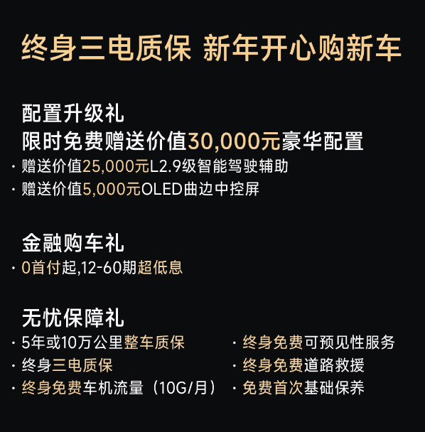 嵐圖知音春節(jié)公益行，車主自發(fā)幫助流浪動(dòng)物溫暖過大年